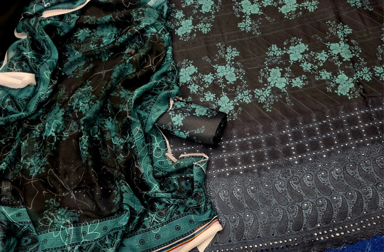 Boring Chikankari Dress